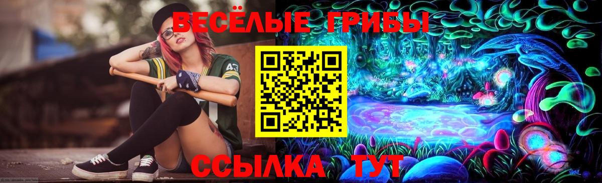 Галлюциногенные грибы Psilocybine cubensis  Псилоцибиновые грибы Cubensis  Вход с VPN  Кувандык 
